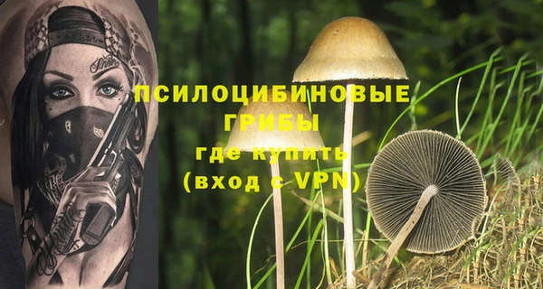 spice Елабуга