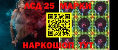 мяу мяу мука Гатчина